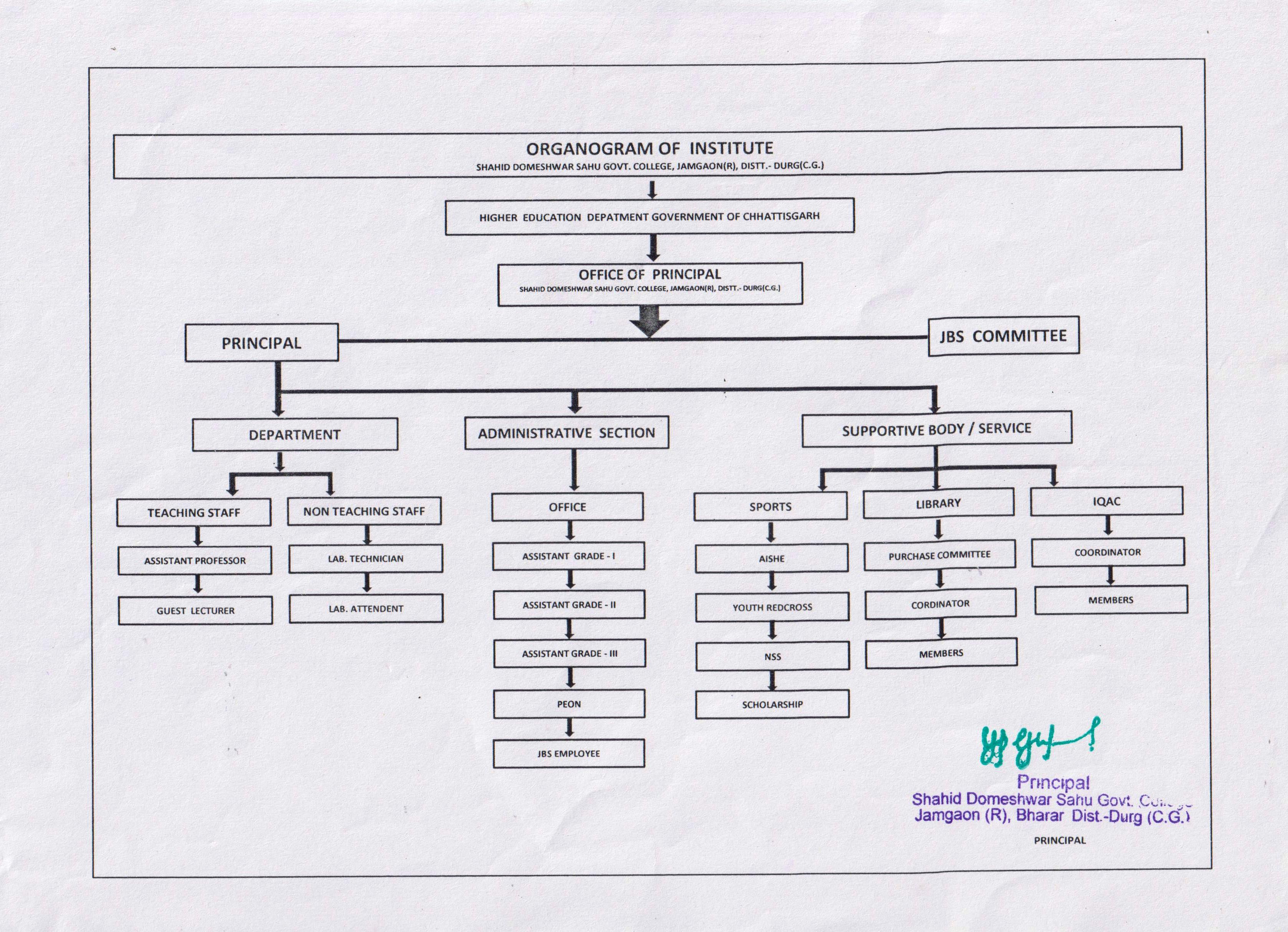 Organogram